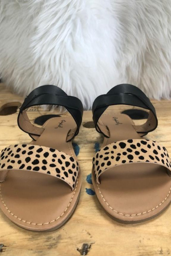 Double Banded Leopard Sandals-shoes-UrbanCulture-Boutique, A North Port, Florida Women's Fashion Boutique